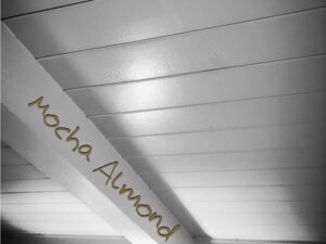 Mocha Almond Personal Essay By Travis Knight