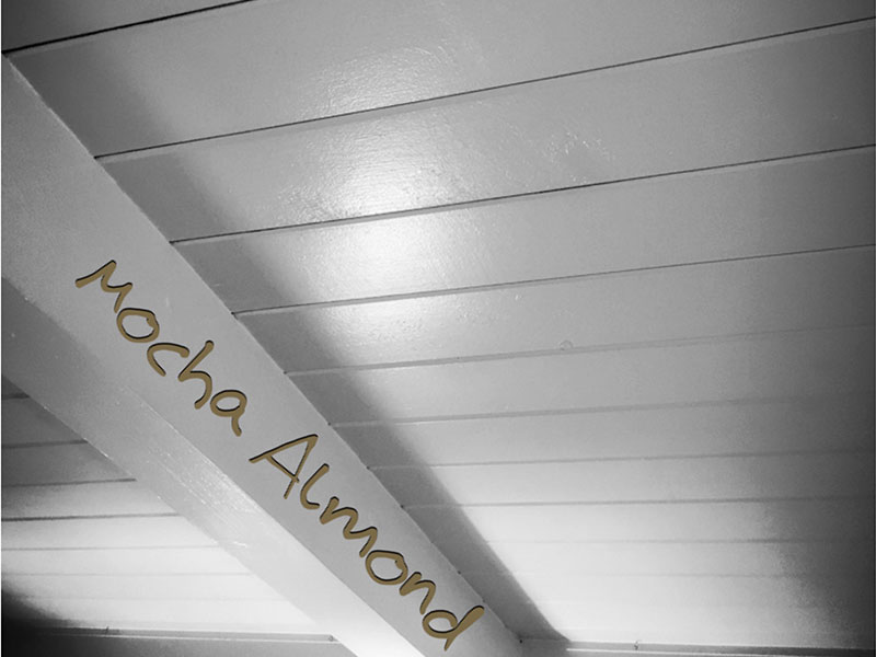 Mocha Almond Personal Essay By Travis Knight