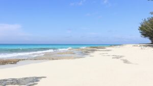 Bimini Blue - A Poem by Travis Knight | photo by Camila Pereira