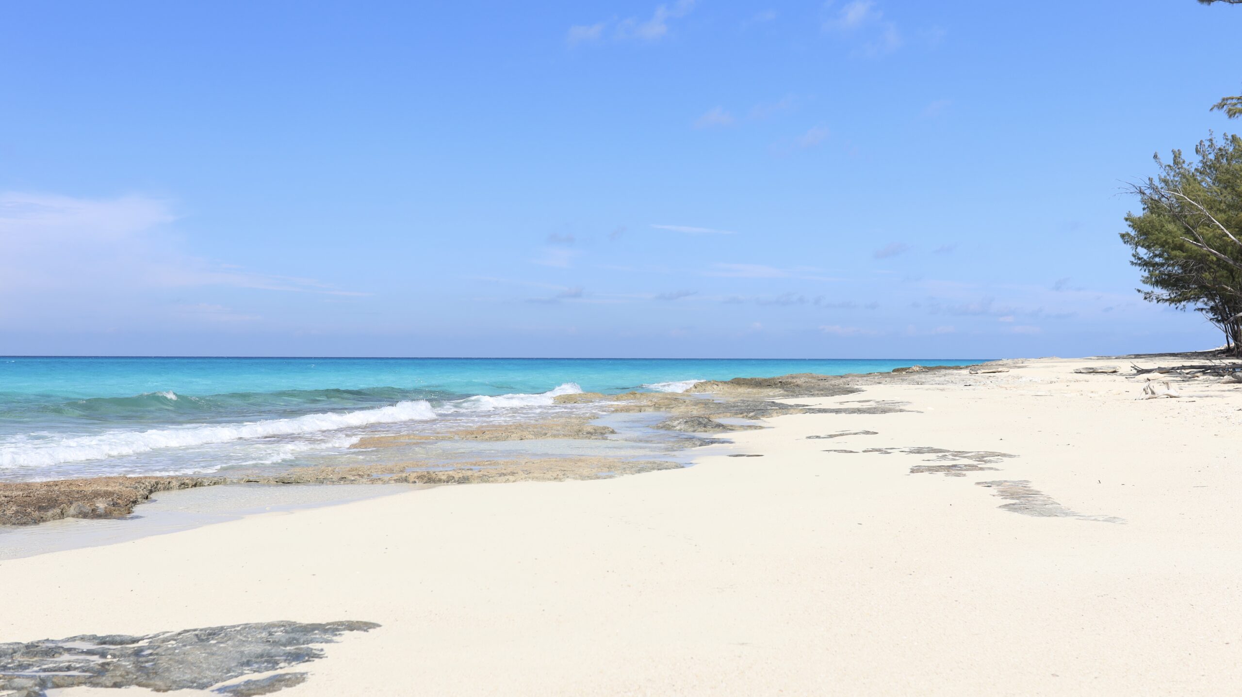 Bimini Blue - A Poem by Travis Knight | photo by Camila Pereira