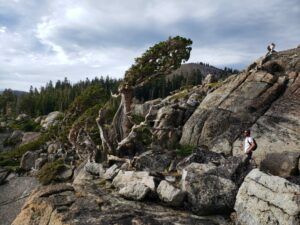 Knight Writes | Time Traveling in Paradise (PART III)