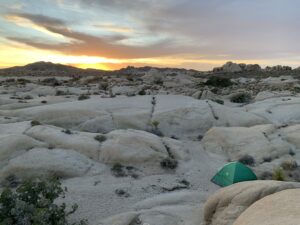 Knight Writes | A Journey into Joshua Tree National Park - photo: Travis Knight