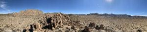 Knight Writes | A Journey into Joshua Tree National Park - photo: Travis Knight