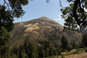 Backpacking Blog: Above Andrew Molera State Beach - Big Surphoto: Camila Pereira