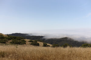 Backpacking Blog: Above Andrew Molera State Beach - Big Surphoto: Camila Pereira