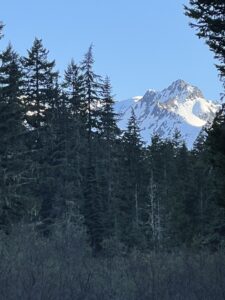 Mount Constance - Olympic National Park