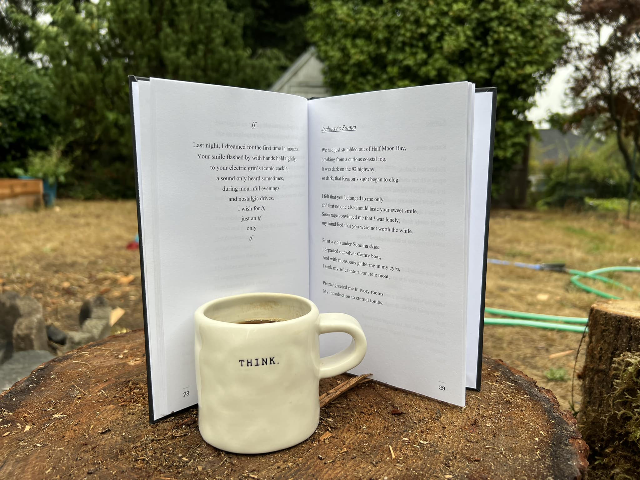 character. book of poems by author travis knight - an intro