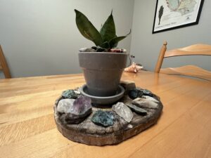 Short Story by Travis Knight: Gary the Bahamian Snail