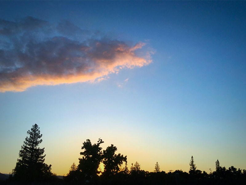 When - Poem by Travis Knight